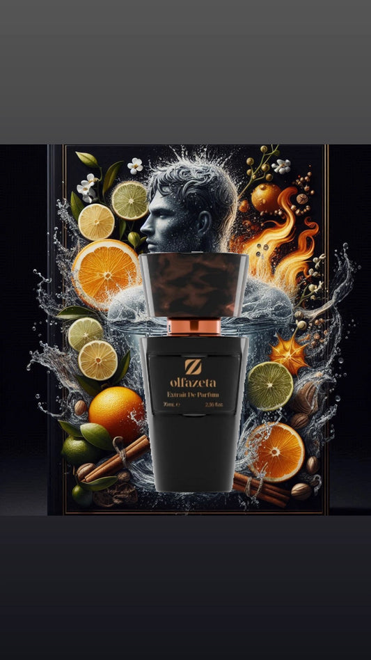 003 - OLFAZETA- Grad